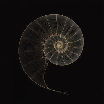 螺旋法則：作文思維轉化的新突破