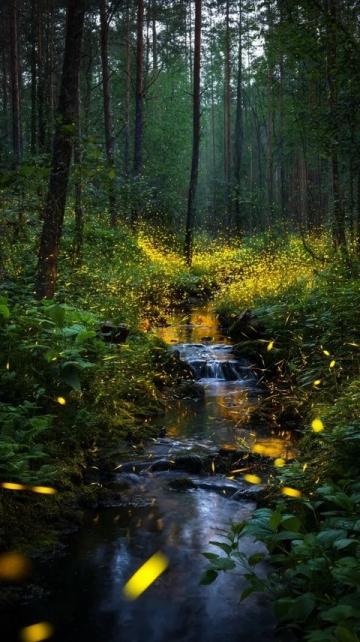 驚蟄時節：萬物復蘇，春雷初鳴——生機勃發的春之序曲
