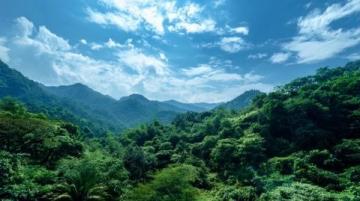 伊春是中國林都，森林覆蓋率高，自然風光優美，是名副其實的天然氧吧