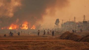 帶孩子逛菜市場(chǎng)：體驗(yàn)生活煙火氣的奇妙之旅