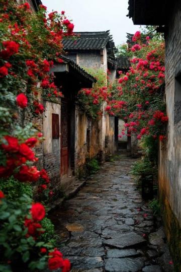 珠璣巷寄思巷陌詩意濃雨落古巷南雄珠璣巷韶關市珠璣巷巷秋
