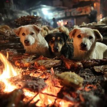 出差榆林，工作中的雜想，食品安全檢測與城市發(fā)展
