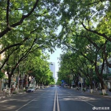 成都初一學生親歷：如何僅用798元完成48小時的劍門關探險之旅