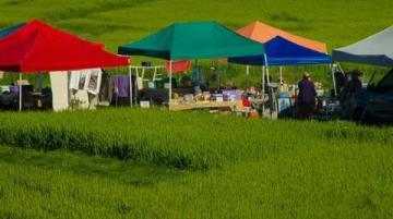 兩年零156天后的我們-再次體驗農貿市場的樂趣