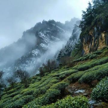 云端之上：梅州客家鄉(xiāng)土的夢(mèng)幻美景