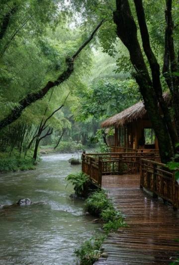 中國(guó)唯一沒(méi)有蚊子的地方