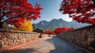 北京的秋天，坡峰嶺的秋天目前坡峰嶺的黃櫨紅葉已進入最佳觀賞期，景區活動豐富，非常適合前往游覽。