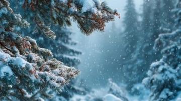 冬季如何養(yǎng)生(小常識養(yǎng)生冬季)