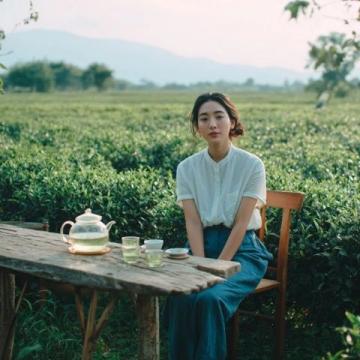 今年春白茶知多少：了解春白茶小知識