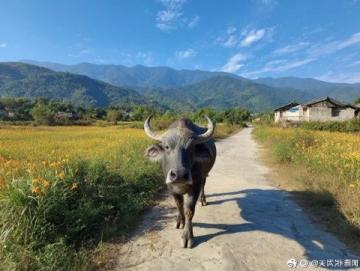 成都初一學生親歷：如何僅用798元完成48小時的劍門關探險之旅