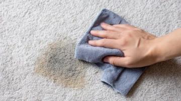 地毯臟漬輕松去？懶人必備、零成本，3個(gè)反常識妙招讓舊毯秒變新！
