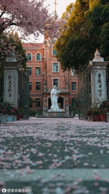 五一節去昆明哪里最好玩(五一節去哪里比較好玩)