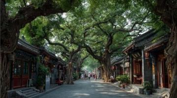 濟南寶藏小眾打卡地，不擠不撞超好玩