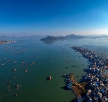 廣東臺山滑翔傘意外牽連養殖基地：刺激運動引發的連鎖危機