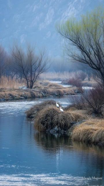 上周在宏村月沼邊發愣呢,旁邊一老大爺突然戳我胳膊這水可不是光擺著好看的