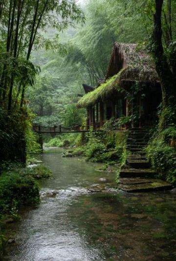 綏陽縣觀音巖景區位于貴州省遵義市綏陽縣，是一個自然風光秀麗、集休閑觀光與戶外活動