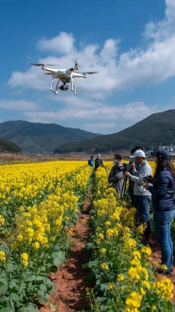 穿越丙察察：這些知識點你不可不知