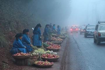 貴州美食眾多，土豆不可錯過