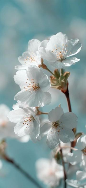 適合自媒體分享的春日美好生活標簽