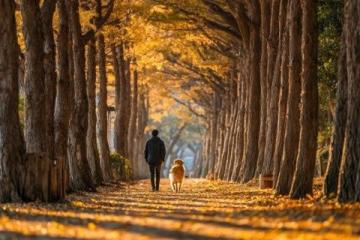 金秋暖淚：鵝狗情深的生命教育課，喚醒我們對生命敬畏之心