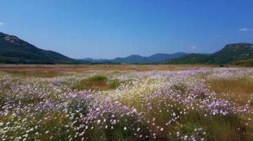 威海闖進(jìn)治愈系山谷,里口山吸氧徒步+絕美花園
