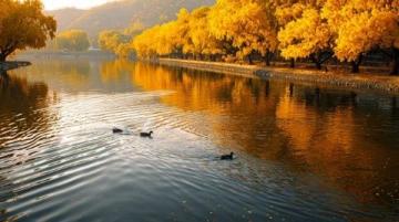 八大處公園：北京西山的璀璨明珠，古剎鐘聲與紅葉爛漫相映成趣！