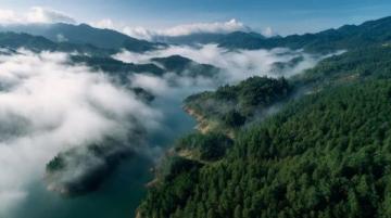 伊春之旅：深入小興安嶺，體驗北國森林的獨特魅力