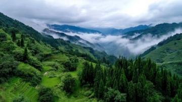 綏陽縣觀音巖景區位于貴州省遵義市綏陽縣，是一個自然風光秀麗、集休閑觀光與戶外活動