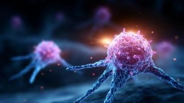 揭秘10大生活誤區(qū):警惕無形毒瘤阻礙你的成長軌跡