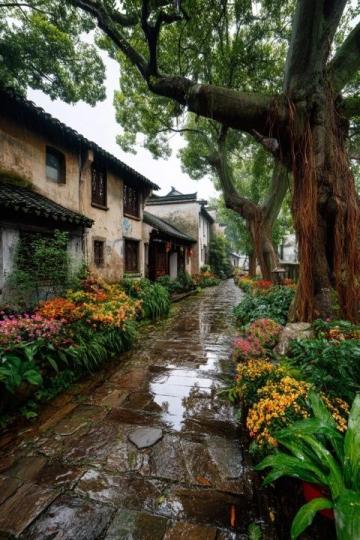 煙雨江南,古鎮邂逅運河,一見傾心!