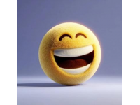 笑對生活的百般滋味一笑對困境