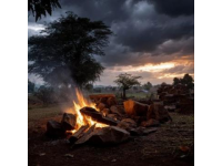 深圳寶安區(qū)農(nóng)家樂野炊技巧分享：大樹生態(tài)農(nóng)場柴火烹飪指南