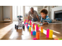 揭秘培養(yǎng)孩子獨立性的誤區(qū)與真諦：走出育兒迷霧，助力自主成長