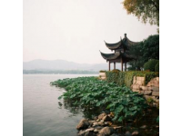 
千年杭州：西湖美景與精致飲食文化完美融合