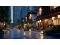 廣州市黃埔區新龍鎮鎮龍村(西區)城中村改造項目首期范圍控規調整