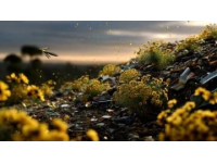 驚蟄時節：萬物復蘇，春雷初鳴——生機勃發的春之序曲