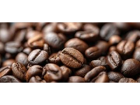 近日，抖音熱榜被一段視頻刷爆，視頻中的兩位明星楊超越和黃明昊挑戰了經典的Tro