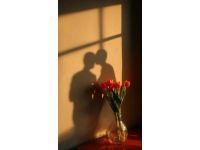 浪漫光影見證甜蜜時光，四季流轉(zhuǎn)共譜愛戀篇章