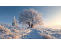 冬季如何養(yǎng)生(小常識養(yǎng)生冬季)