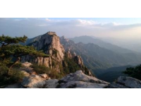 莒地原風景：探尋神秘碁山的自然與文化之美