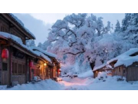 吉林這6個(gè)地方太寶藏冬天看雪，夏天避暑，一年四季都值得去。