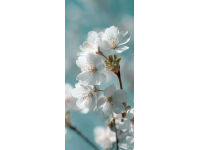 適合自媒體分享的春日美好生活標簽