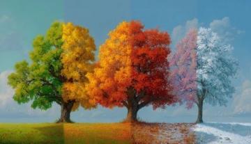 四季如歌：春夏秋冬種田人