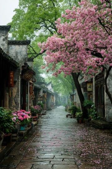 誰偷走了長沙的歷史記憶?千年老街被現代商業淹沒