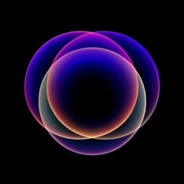 揭秘：朋友圈里的三角梅為何如此搶眼，并非因為那些花色艷麗的品種