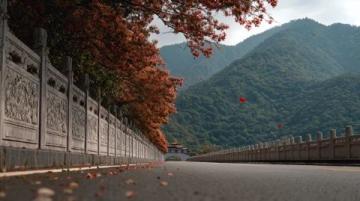 配色絕了！咸寧秋日頂流正在這條道路上演