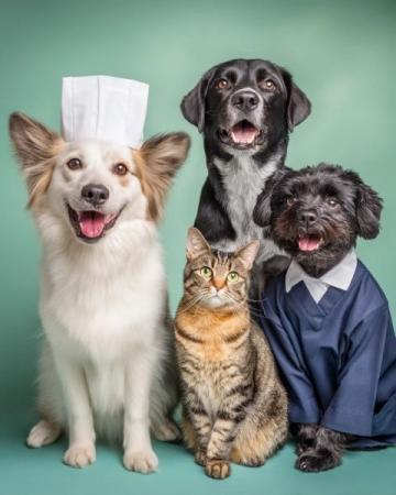 社畜要成為護士，需要從零開始！