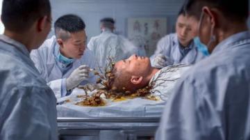 佛山啟動突發(fā)公共衛(wèi)生事件Ⅱ級響應(yīng)，關(guān)注這些蚊媒傳染病防護(hù)知識