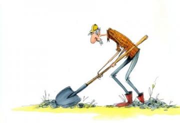 探尋“順口”美味：沃土家香小館讓人回味無窮的佳肴