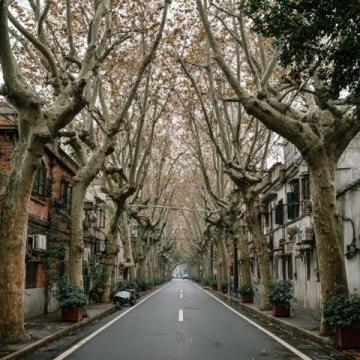 前往北大國際醫院可乘878路或871路公交